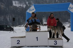 Lenk 2012 SM